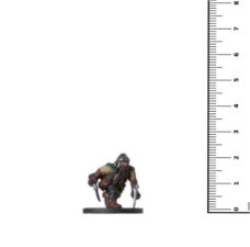 D&D Miniatures: Deathknell 19-60 Greenfang Druid Image4