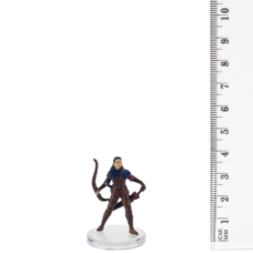 D&D Miniatures: Dragonlance Shadow of the Dragon Queen 11/49 Ansalon Human C