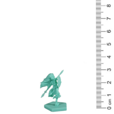 RPG Miniatures: Clash of Rage Valkyries x1