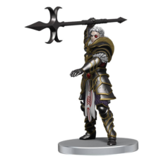 D&D Miniatures: Dragonlance Kansaldi on Red Dragon Image2