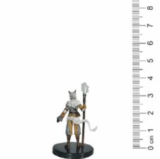 D&D Miniatures: Icewind Dale 39 Avarice Image2
