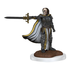 D&D Nolzur's Marvellous Miniatures Unpainted Miniatures 2-Pack Death Knights (W20) Image2
