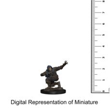 Pathfinder Miniatures: Premium Painted Human Rogue Male