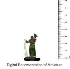 D&D Miniatures: Icons of the Realms Premium Painted Human Female Druid