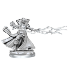 Dungeons & Dragons Frameworks: Male Human Sorcerer Image2