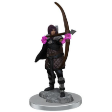 WizKids Deep Cuts Unpainted Miniatures 2-Pack Human Rogue (W20) Image2