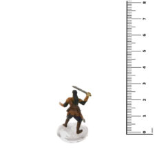 D&D Miniatures Seas & Shores: 01 Pirate Image2