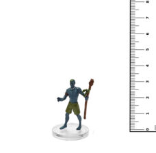 D&D Miniatures Seas & Shores: 01 Pirate Image4