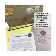 Murder Mystery Party Game: Mile-High Murder Image2