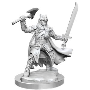 Dungeons & Dragons: Frameworks - Male Half-Elf Ranger