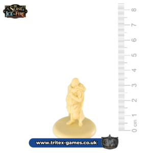 SoIF Unpainted Miniature- Ser Axell Florent