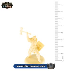 SoIF Unpainted Miniature- Baratheon Wardens