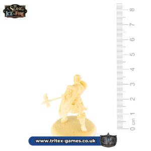 SoIF Unpainted Miniature- Baratheon Wardens
