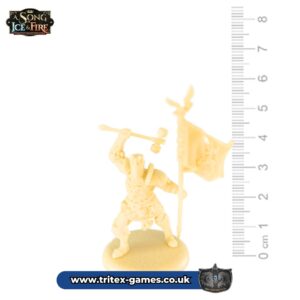 SoIF Unpainted Miniature- Baratheon Wardens