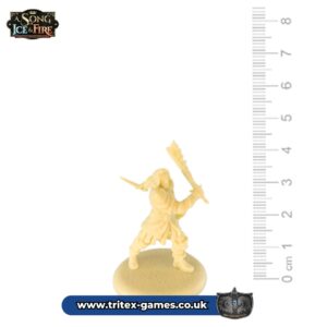 SoIF Unpainted Miniature- R’hllor Faithful